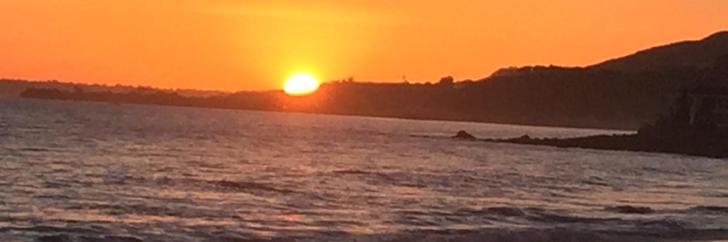 David Goldstein banner