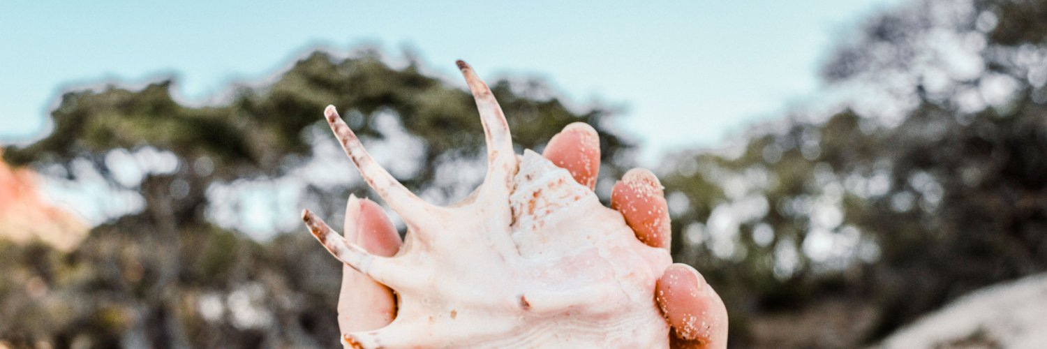 HannahhSweet's profile banner image