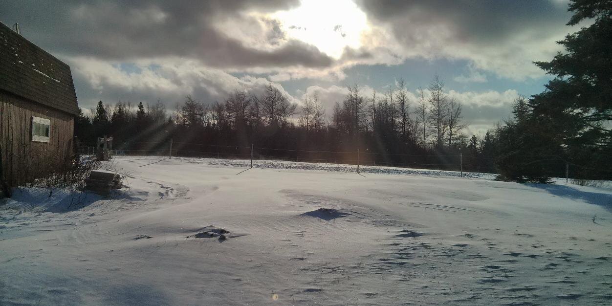 Bruce Robertson banner