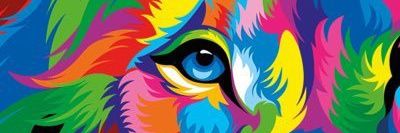 iamedthorpe's profile banner image