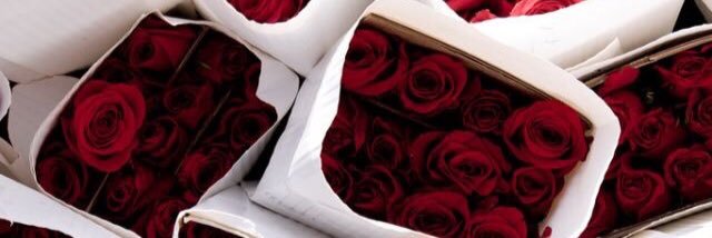 CW_Caramel's profile banner image