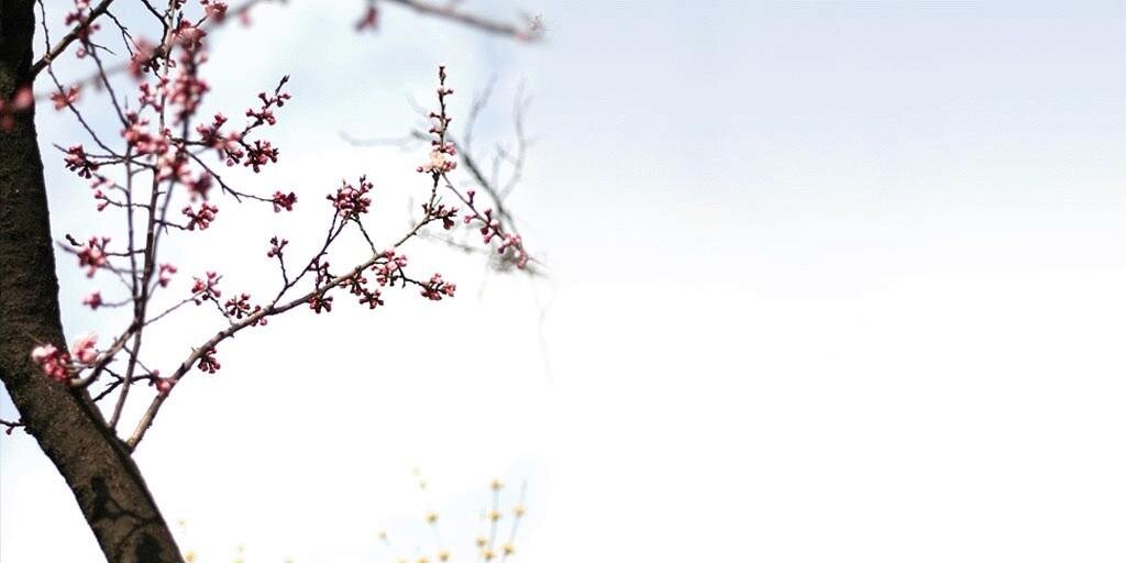 ngochanle's profile banner image