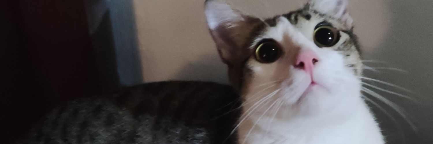 migsquibrantos's profile banner image