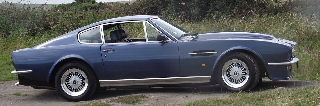 Stuart 🏎 🏍 🚤 🐎 banner