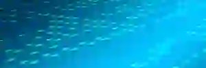 sowri2's profile banner image