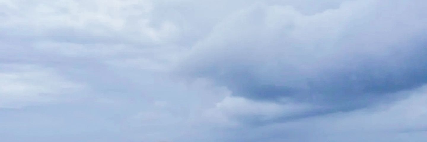 🏳️‍🌈 E E T 🌳 ||| banner