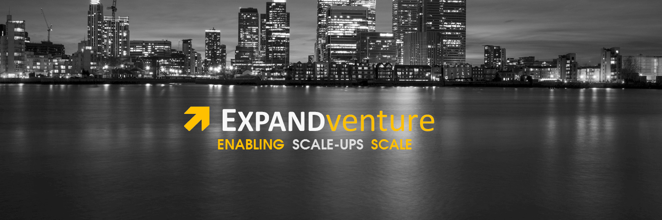 ExpandVenture's profile banner image