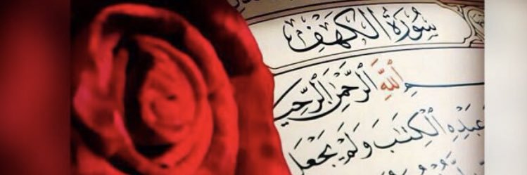 dana_alsaeed's profile banner image