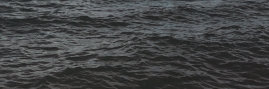 Feelise_'s profile banner image