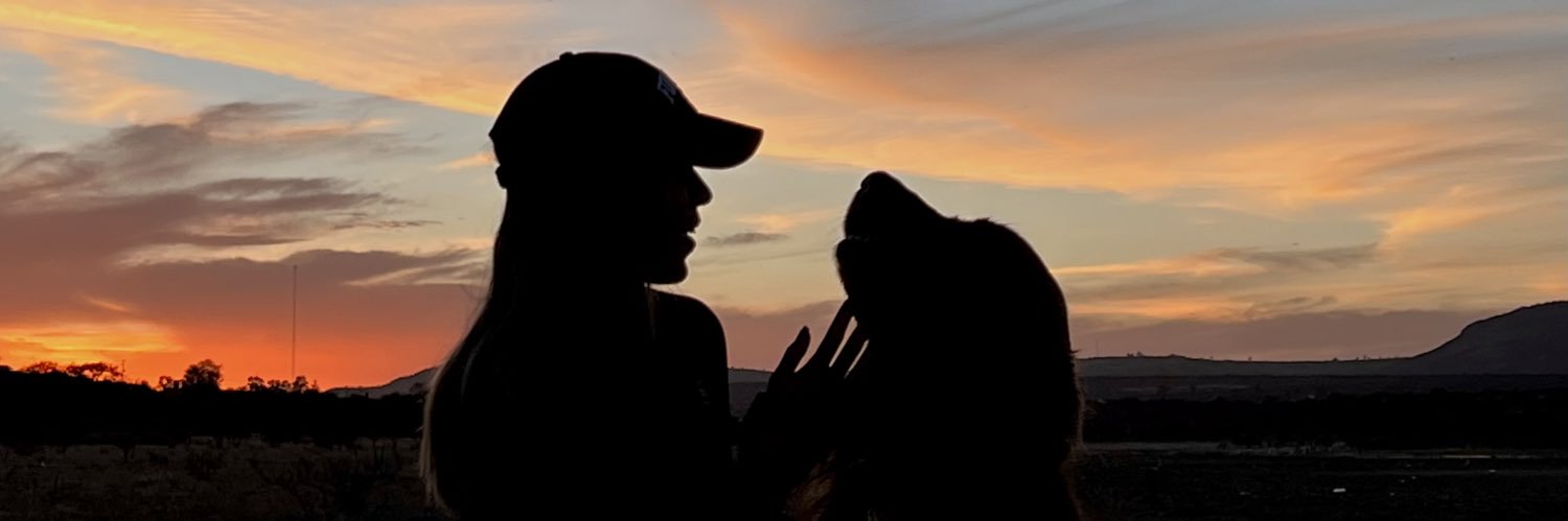 macarenafemat's profile banner image