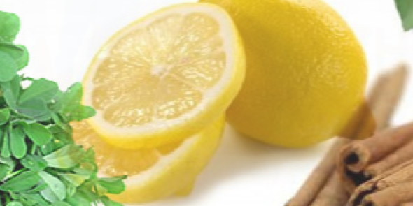 eGlobalNatural's profile banner image