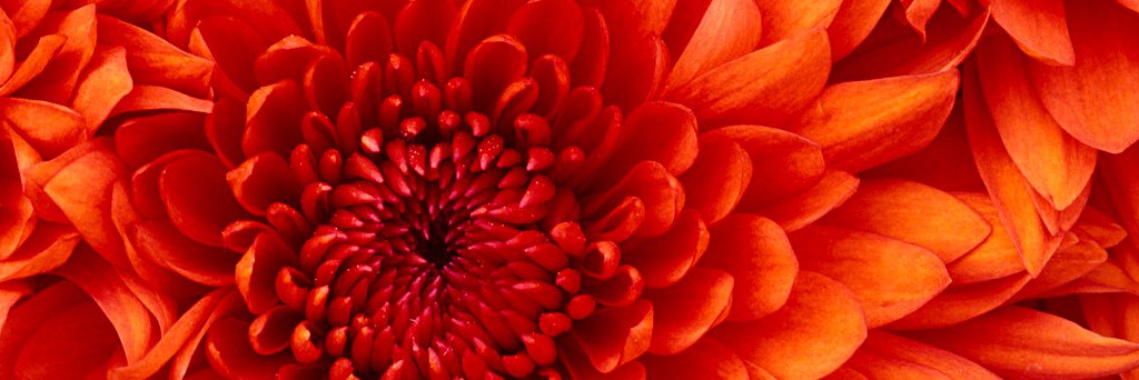 K8Qualters's profile banner image