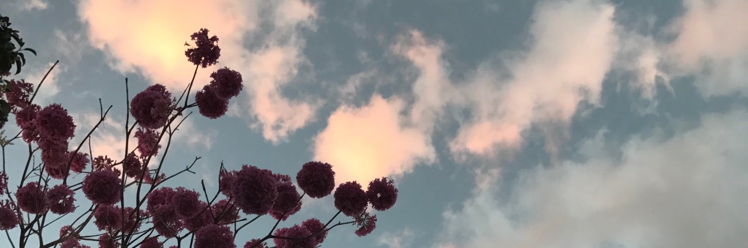 _amorimbia's profile banner image