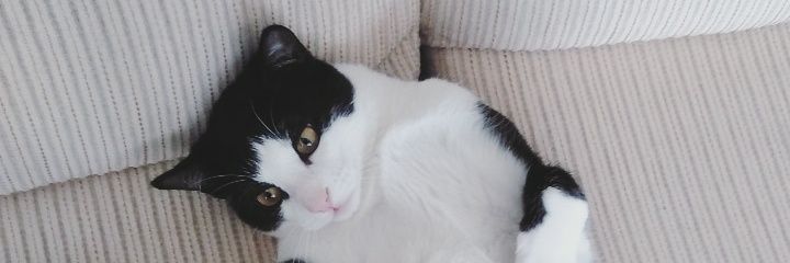riiileru's profile banner image
