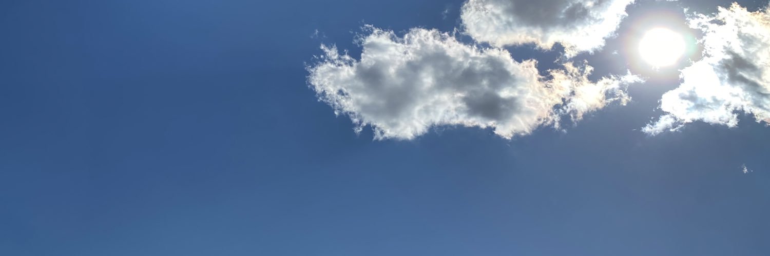 sswimps's profile banner image