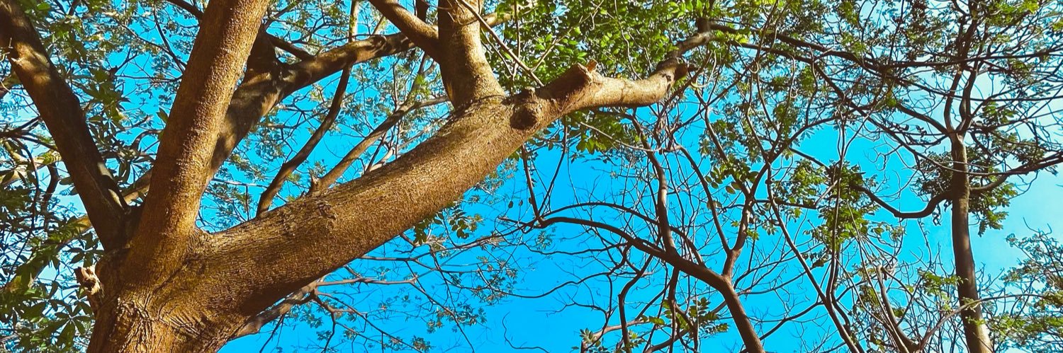 rahulkathet's profile banner image