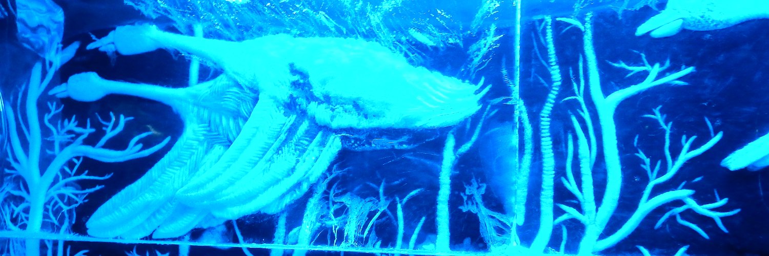 ewantaylor1's profile banner image