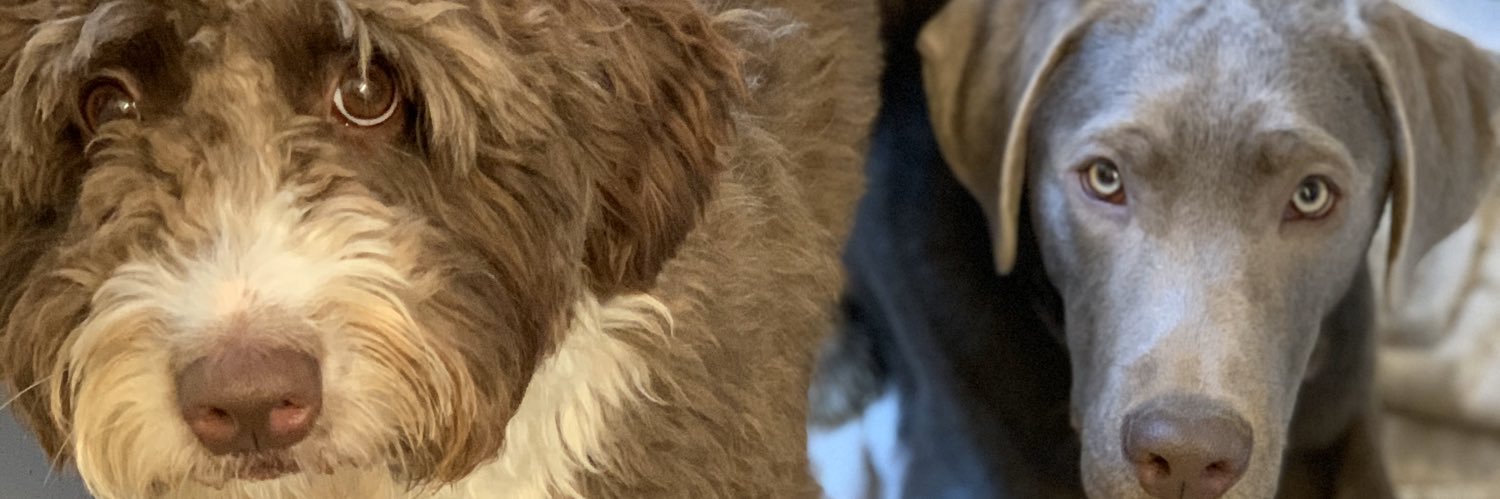 Mack_Daddy17's profile banner image