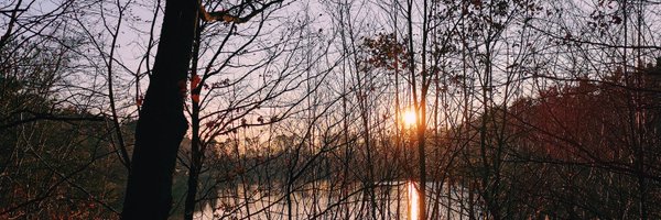 deewsen Profile Banner