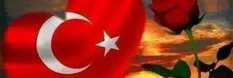 aliduru46010822's profile banner image
