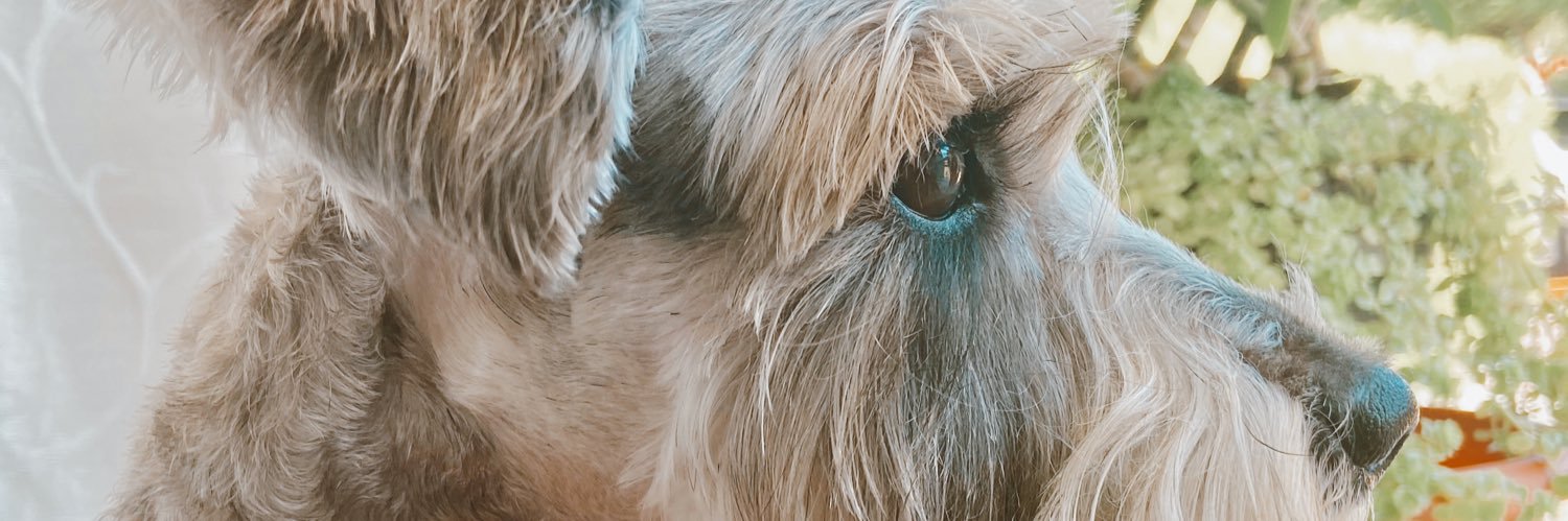 AleDuartee_'s profile banner image