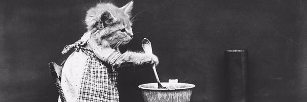 AliceMaryGrier Profile Banner