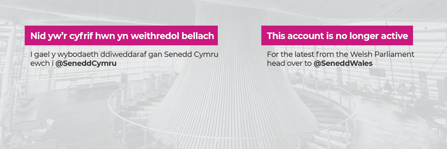 Senedd banner