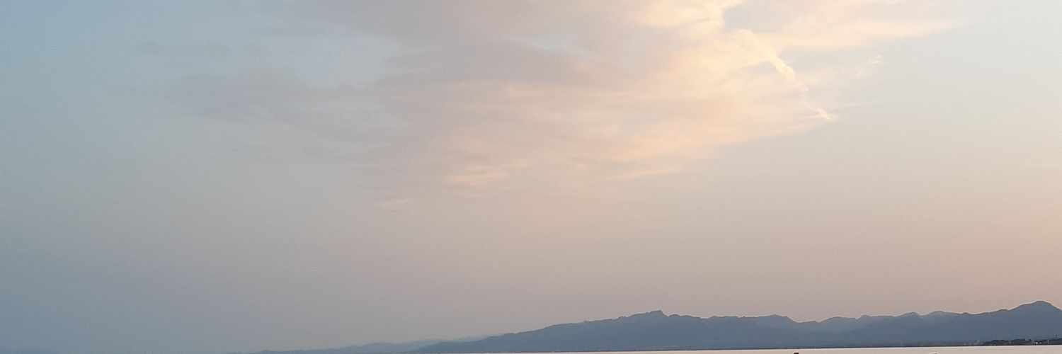 melixbees's profile banner image