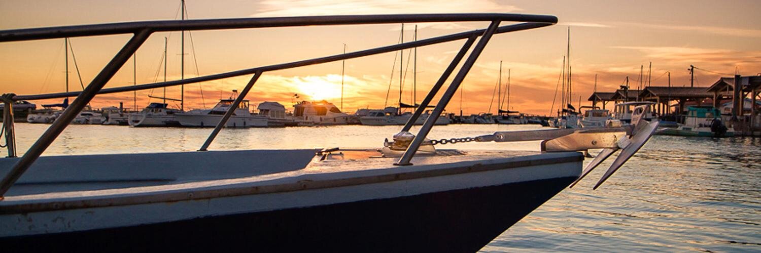domadp's profile banner image