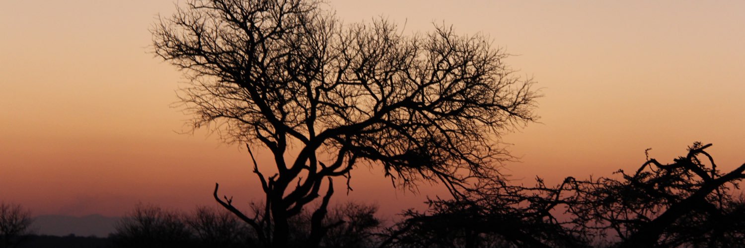 LiezelStegmann's profile banner image