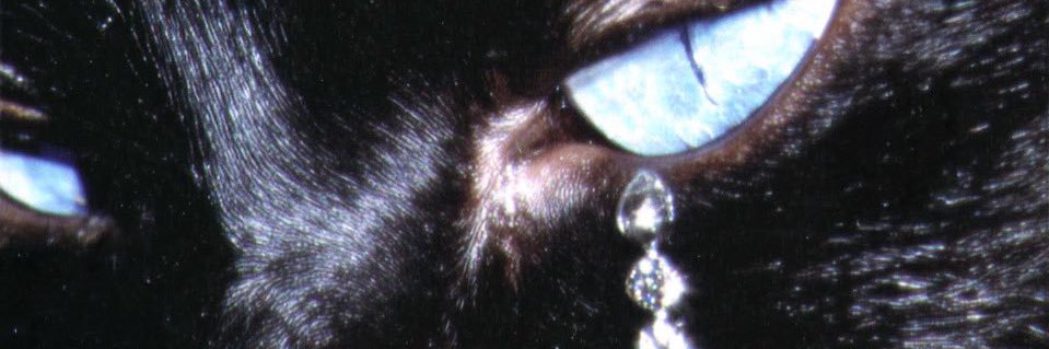 db_crtz's profile banner image