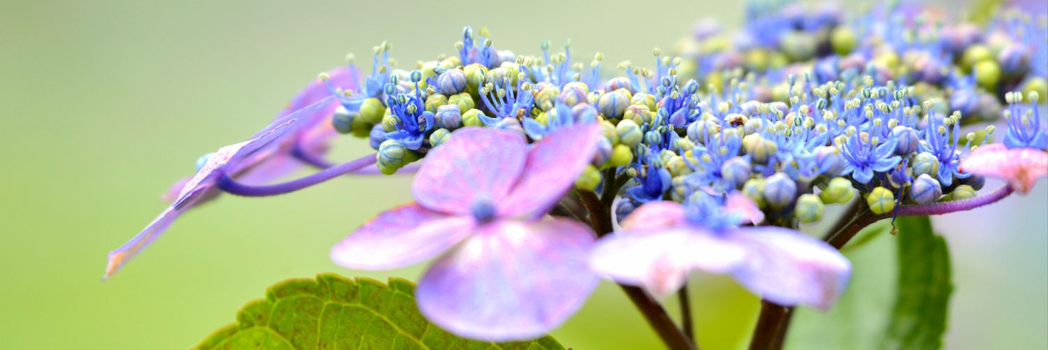 mana6767's profile banner image