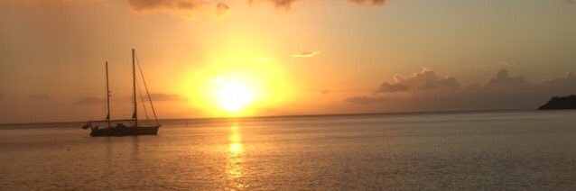 AliceRPreece's profile banner image