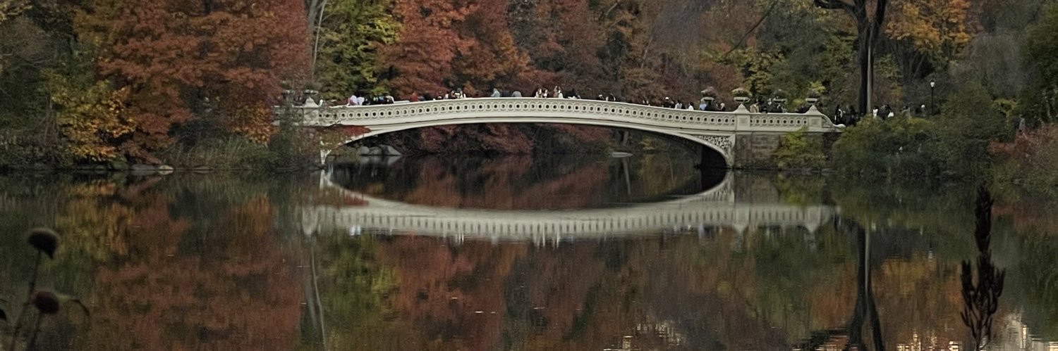 MLynnCooper's profile banner image
