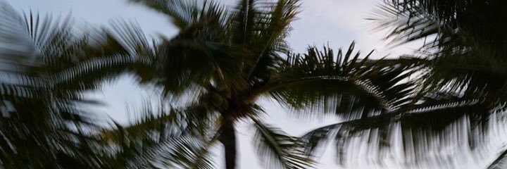 tdxoo's profile banner image