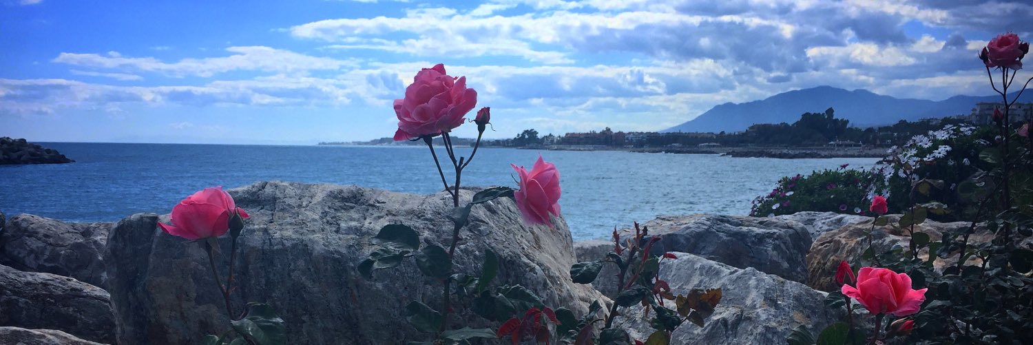 CharlyPeachy's profile banner image