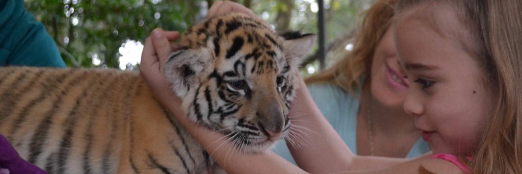 DC Wild Things banner