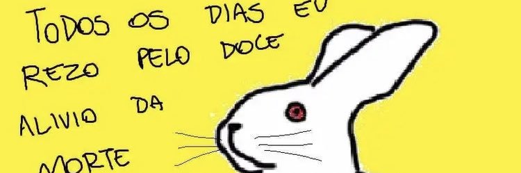 luisaborn's profile banner image