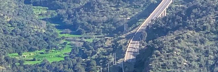 بخيت الزهراني 🇸🇦 banner