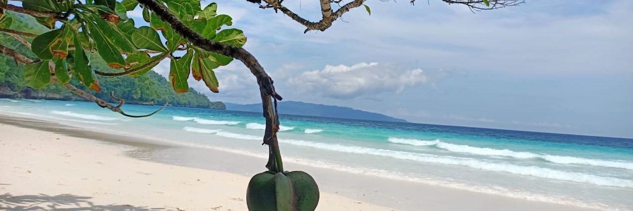 frusidyfuad's profile banner image