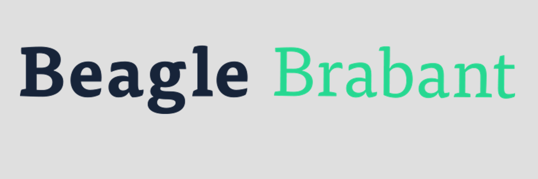 BeagleBrabant's profile banner image