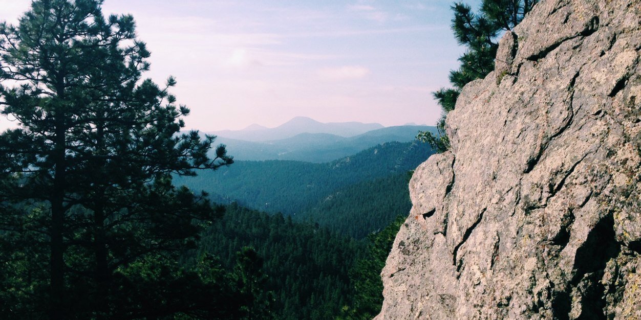 allieelarson's profile banner image