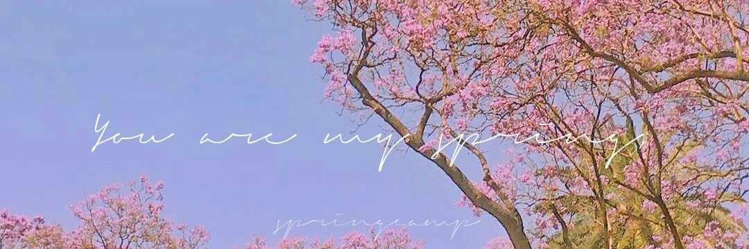 Springcamp_bts's profile banner image