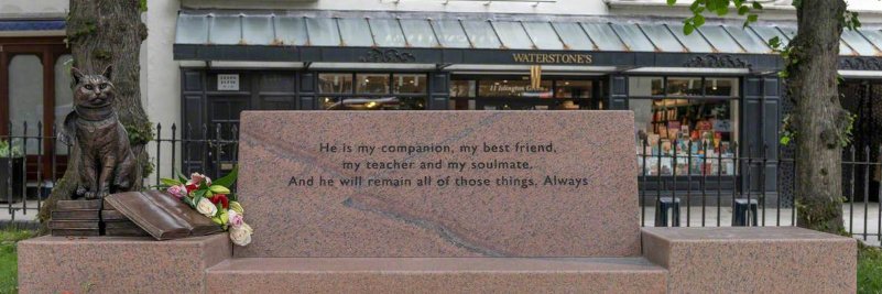 StreetCat Bob banner