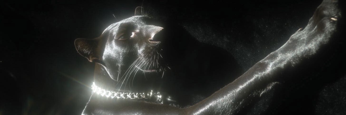 rumeysamervec's profile banner image