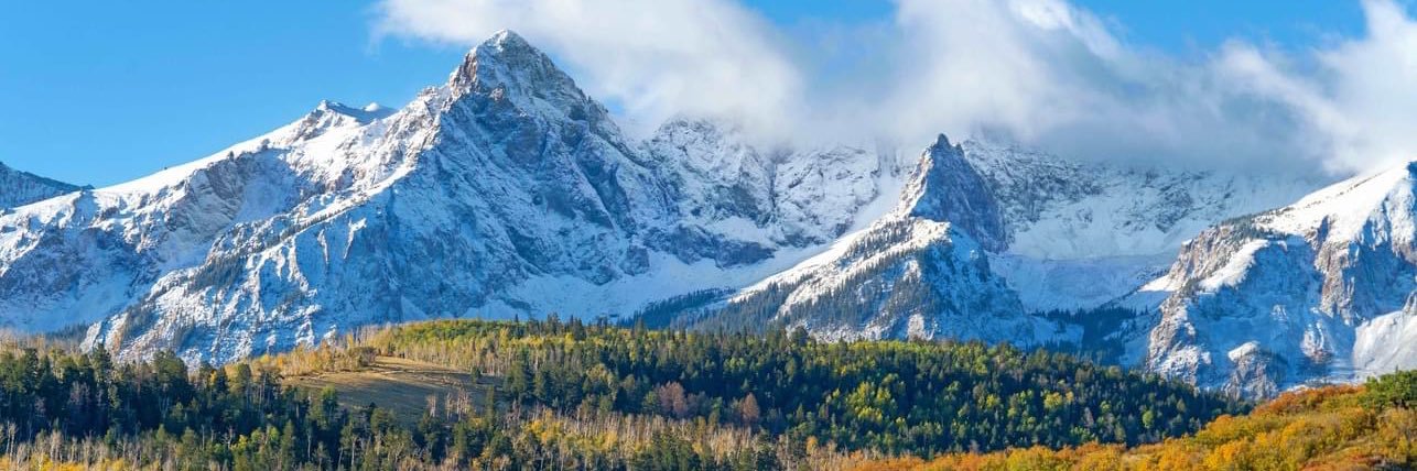 Curious Kris🌿 banner