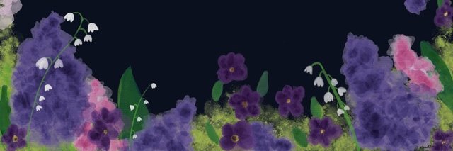 SpincatCat's profile banner image