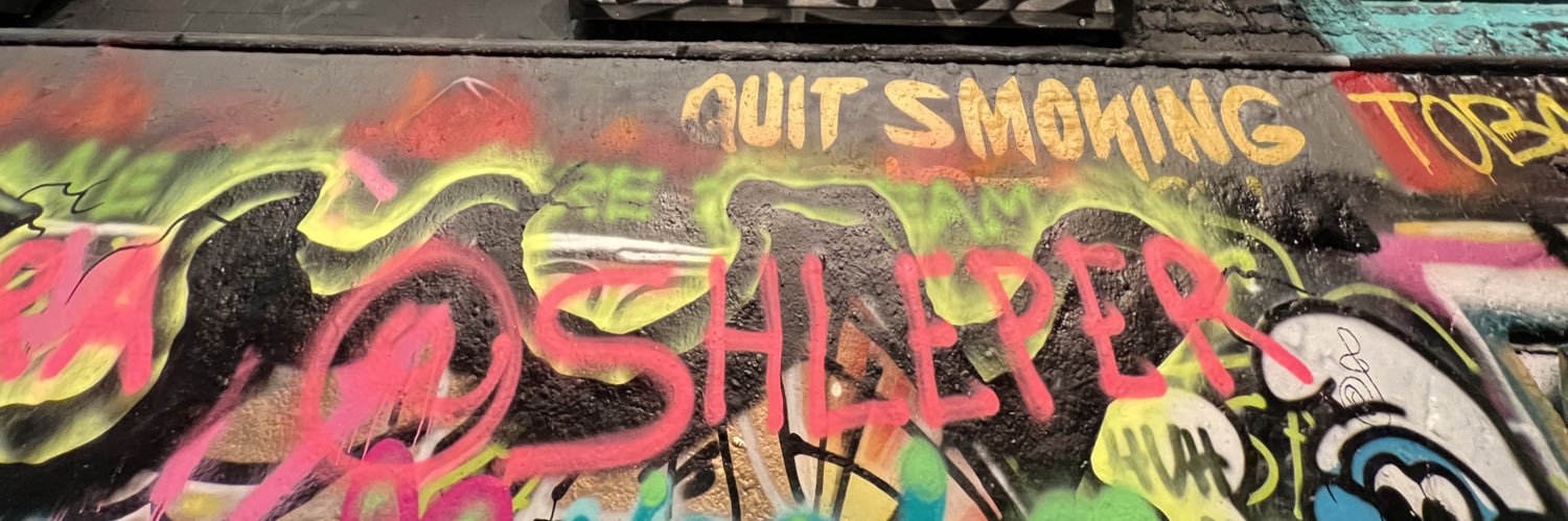 Shleper Bibas banner