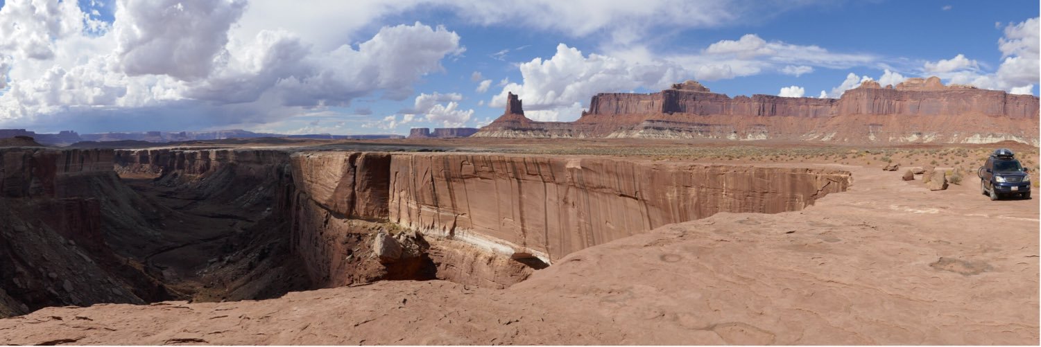 Laura deShazo banner