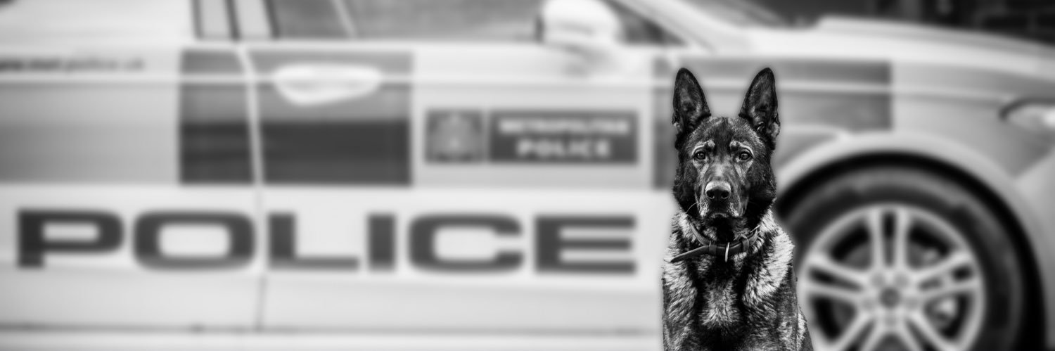 PDLuther's profile banner image